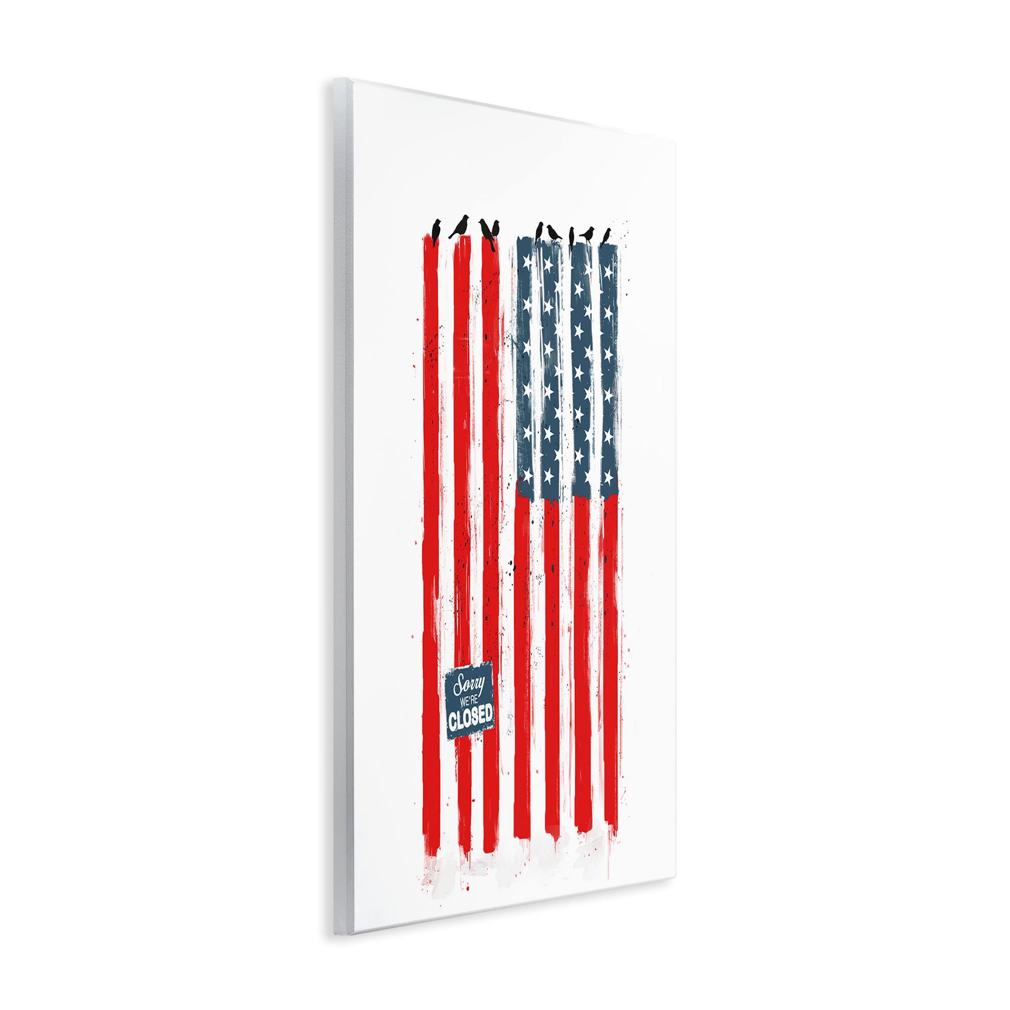 Stupell Industries American Flag Birds on Wall Political Statement Wall Plaque Art